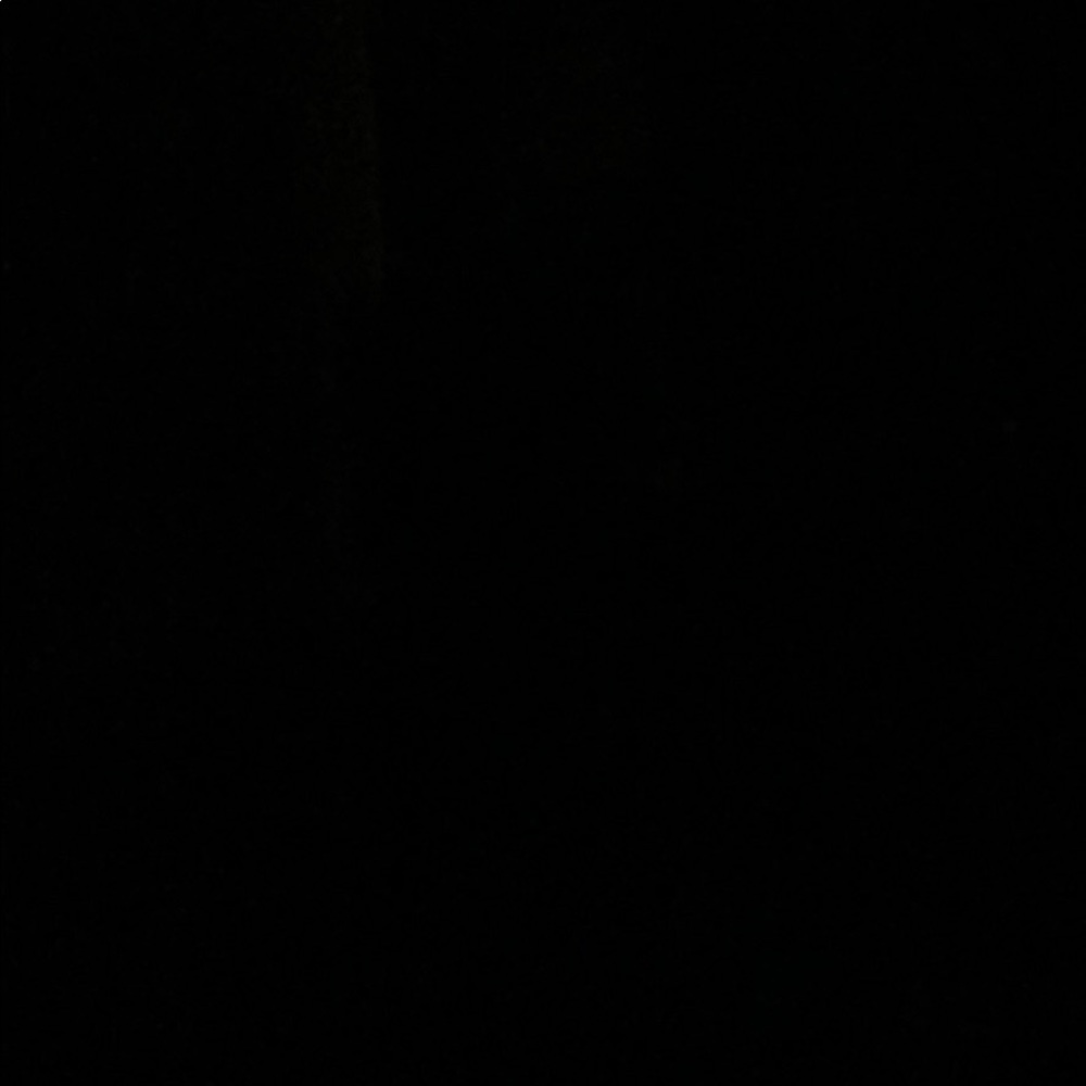 Meet your Posher, Carter